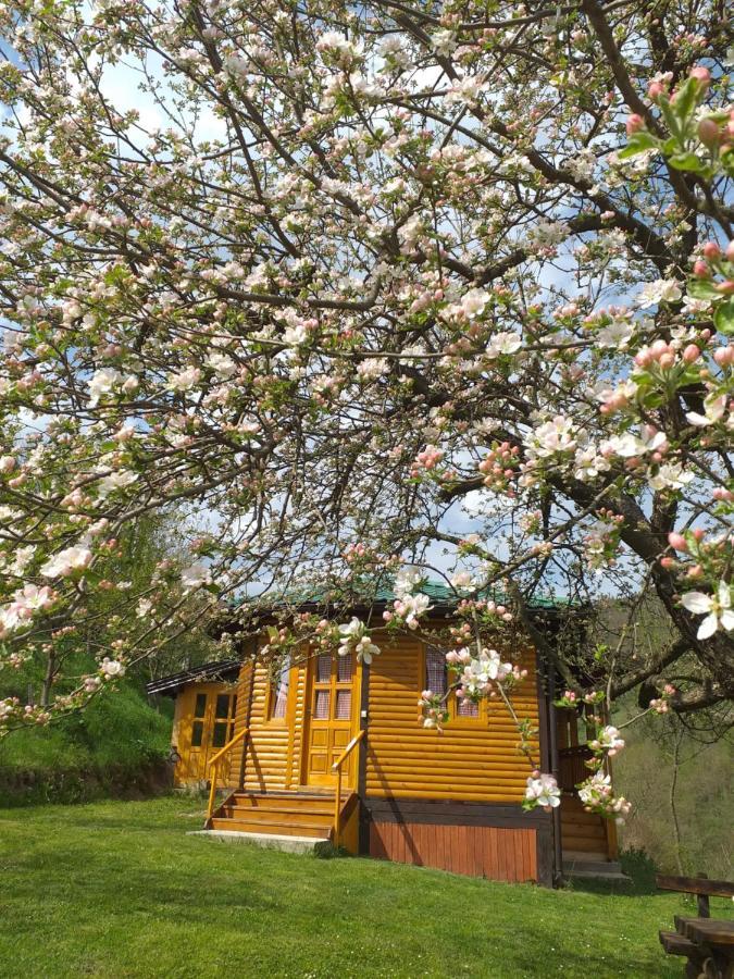 Motel Bavaria Foca Eksteriør bilde